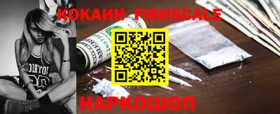 индика Гусев