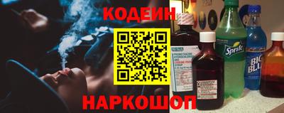индика Гусев