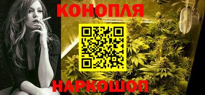 индика Гусев