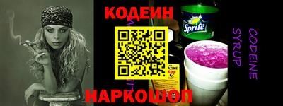 индика Гусев