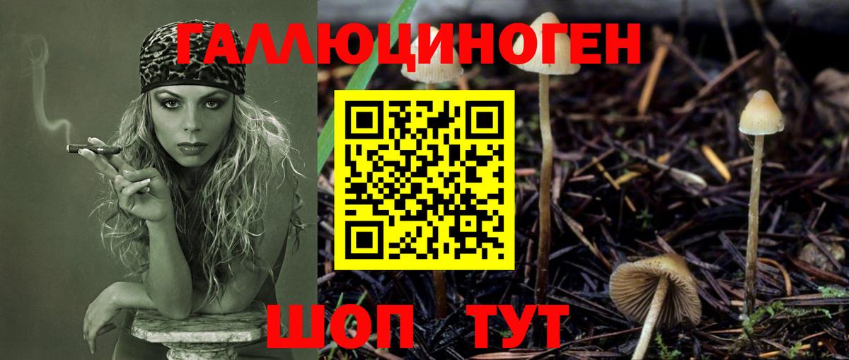 Псилоцибиновые грибы GOLDEN TEACHER  Вход с VPN  Можайск 