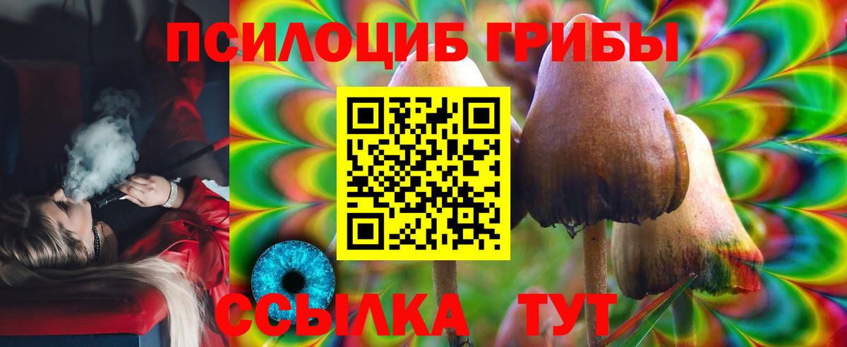 Псилоцибиновые грибы мухоморы Можайск